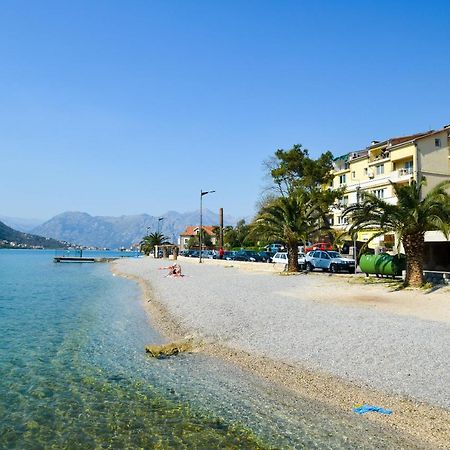 Central Apartment Kotor Dış mekan fotoğraf