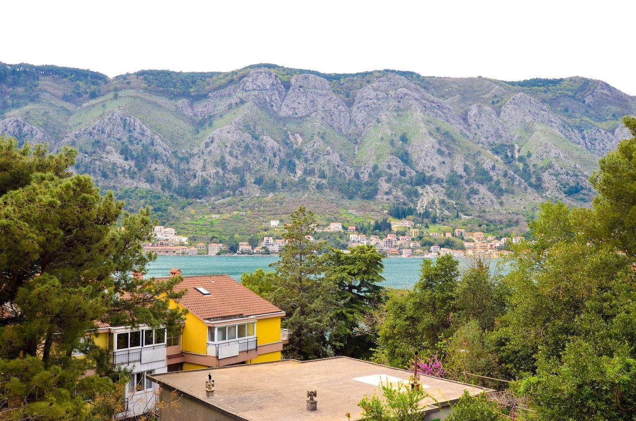 Central Apartment Kotor Dış mekan fotoğraf