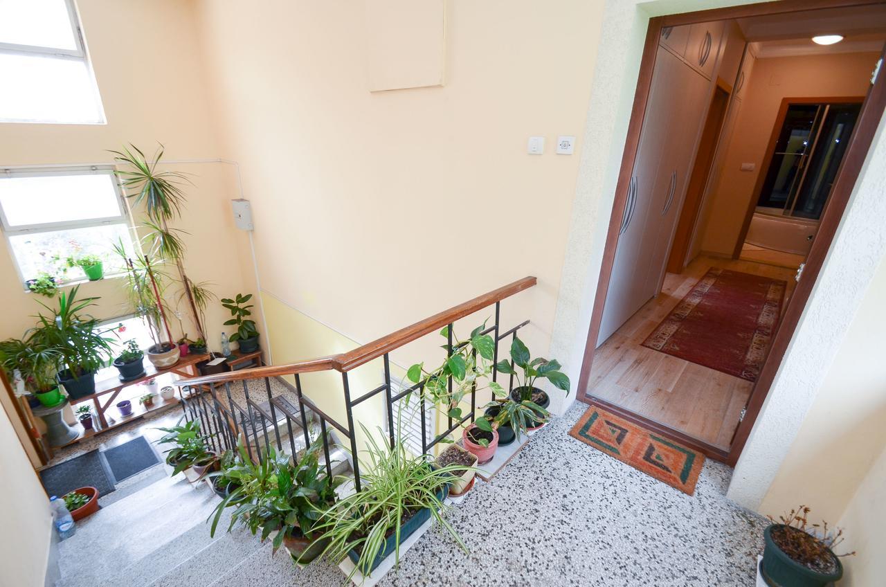Central Apartment Kotor Dış mekan fotoğraf